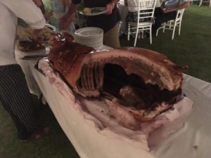 Hog Roast 