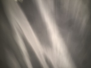 IMG 1608 300x225 - IMG_1608