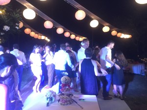 IMG 2080 300x225 - IMG_2080