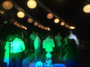 IMG 2082 300x225 - IMG_2082