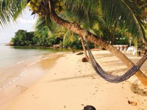 24900094 1365292666933931 1628805825315633152 n 300x225 - Am Samui Beach Wedding