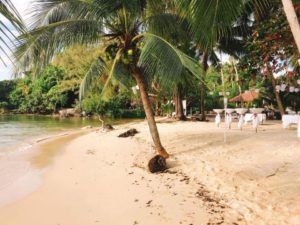 24909538 1365292696933928 6981383388506066603 n 300x225 - Am Samui Beach Wedding