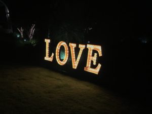 IMG 8814 300x225 - Love a Good Wedding
