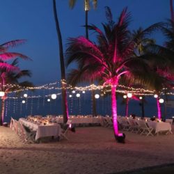 Vegan Wedding Belmond Napasai