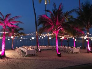28168502 1436190609844136 3768753989412211663 n 300x225 - Vegan Wedding Belmond Napasai