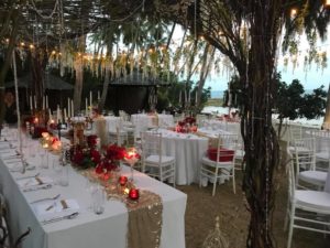 28872072 1448327721963758 8244553869179224064 n 300x225 - Magical Fairy Wedding