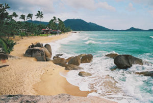 location lamai 300x201 - location-lamai